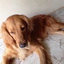 Diana Angulo - @BonKyra - Twitter