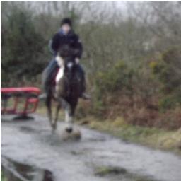 Hey :) My names Aaron, 15, Ireland . Love Jessie J, Eminem, B.O.B and so on.Horses are my passion.Follow me & i'll follow back :)