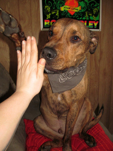 lizvrsik's profile picture. :)