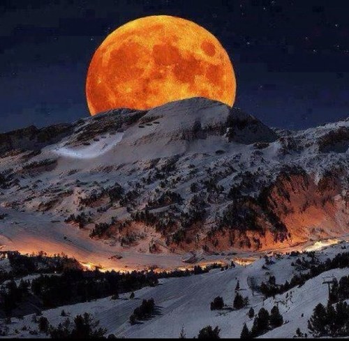 AVaguil's profile picture. 