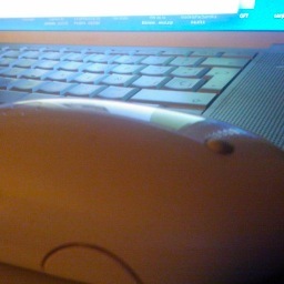 Frank4Dedos's profile picture. 