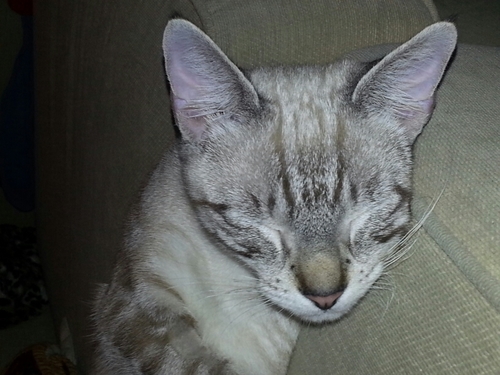 HoylandVicky's profile picture. 