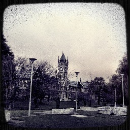 duned_in's profile picture. Dunedin PhotoBlog.. about the people and the place who live, love & play in this amazing city at the bottom of the world