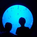 Patrick Koontz - @PKoontzEvv - Twitter