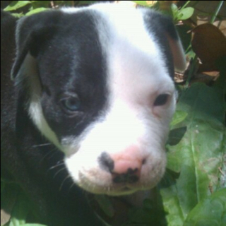 redricruso's profile picture. live to learn learn to love and love life be G.double.O.DBLESS