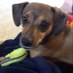 Roscoe’s Mom (@skwoodward8424j) Twitter profile photo Roscoe’s Mom (@skwoodward8424j) Twitter profile photo