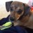 Skwoodward8424J's profile image
