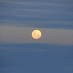 AuroraCelesteyBlanca (@auroracelesteyb) Twitter profile photo AuroraCelesteyBlanca (@auroracelesteyb) Twitter profile photo