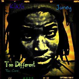 #teamfollowback so follow me and I'll follow back I'm also an independent artist with that being said I basically do it all I love all genres of music