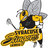 syrstingerslax's profile image