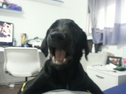 the___answer's profile picture. 