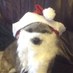 Tomas Tonks (@ttonks1) Twitter profile photo