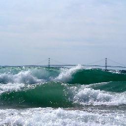 Upnorthduane907's profile picture. 