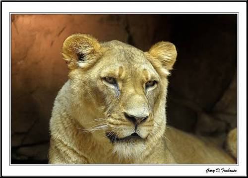 SLS1974's profile picture. Christ follower, Social Worker, Retired Autoworker, Helping to change the world little by little.