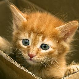 MartinezZodiaco's profile picture. 