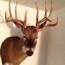 R William Logsdon - @LogsdonRw - Twitter