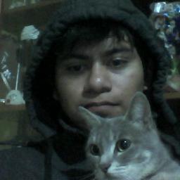 Programador web vueJS, angular, NetCore, c#, sql/ piano / autos / ecommer / negocios / emprendimiento / rubik / clash royale