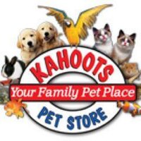 Kahoots Pet KahootsPet X