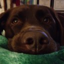 Leah Schilling - @lschilli - Twitter