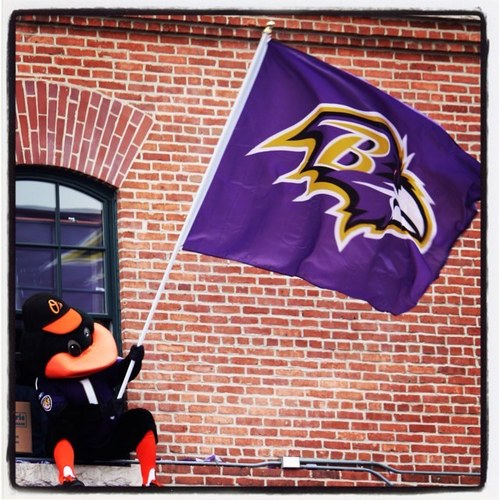 scameronbrown's profile picture. 