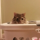 Alexandre Parent - @buzedup - Twitter