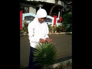 Sekarayu_dewi's profile picture. #Bersekolah ϑî MTs.masalikil huda #kls 8c #@facebook aiyuu ladiezztt #pin:311661BE