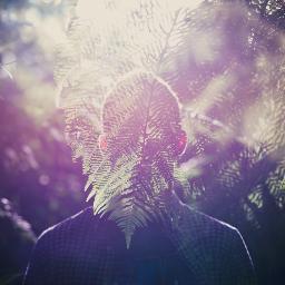beat and/or melody maker, sometime mastering engineer  ٩(●˙▿˙●)۶…⋆ฺ  releases on hush hush records/omoide label/progressive form/etc.