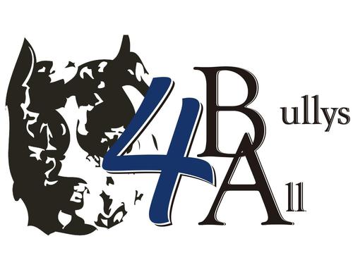 BullysforAll's profile picture. Amante y criador de Bullys!!!