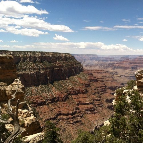 AdamBNovak's profile picture. 