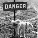 Rob Griffith - @robgiv72 - Twitter