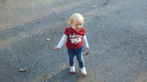 wps