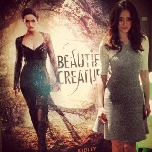 YourDarkCaster's profile picture. 