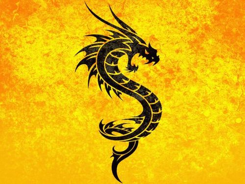 ARCKELL's profile picture. Estudiante de Derecho y Oficial de Control de Pérdidas en un banco de la localidad, padre y esposo de una excelente mujer.