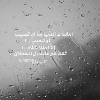 alwafaa44's profile picture. يا الله أسألك طهارة قلبي من كل ذنب يبعدني عنك وعن كتابك وعن أخوة أود صحبتهم في الجنه