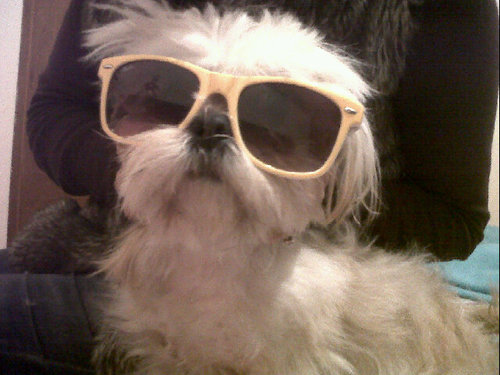 AnaPispi's profile picture. 