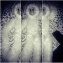 Teddy Rivera - @TeddyTheYungGod - Twitter