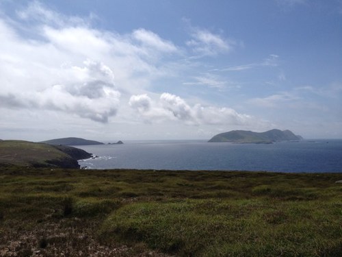 SpokeWill's profile picture. 