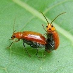 よっ！元気？あちきは見ての通りでやんす。世の中に散らばる才能の無駄遣い。これらのおもしろネタや画像をどんどん紹介していきやす！日々のネタをあちきから仕入れてもらえらたらこれ幸いなり。フォロー大・歓・迎！笑ったらRTお願しやっす！