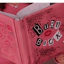Mean girls quidditch style burn book, send in your darkest secrets/shade/sass/hate mail.