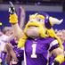 pete laflamme (@petevikes22) Twitter profile photo