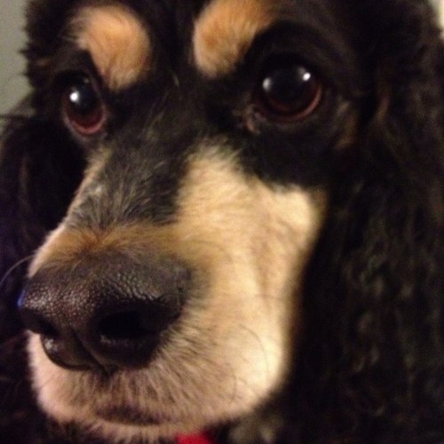 Pamela84281492's profile picture. 