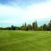 Western Turf Farms (@westernturf) Twitter profile photo Western Turf Farms (@westernturf) Twitter profile photo