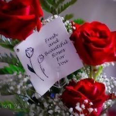 NhnSunil's profile picture. nnoooooooooooooooo