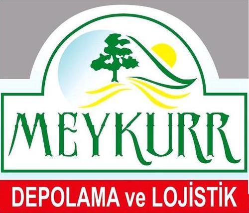 MEYKURRDepolama's profile picture. 
