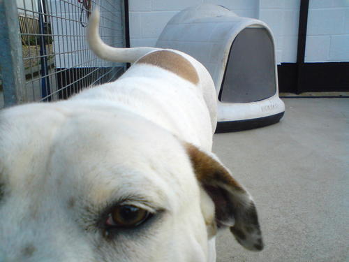 andy_stant's profile picture. 