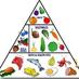 Paleo Diet (@paleodiet4you) Twitter profile photo Paleo Diet (@paleodiet4you) Twitter profile photo