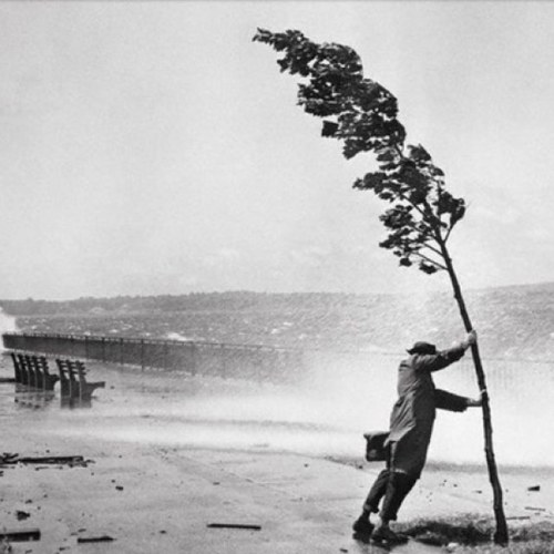 bendwtheremover's profile picture. i will arise and go now, and go to innisfree...and live in the bee loud glade.