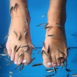 AqualinaLounge's profile picture. Aqualina  - Wohlfühl Relax Lounge - Wir bieten Ihnen neben dem sanften Fusspeeling mit Garra Rufa-Fischen auch wohlige Entspannung für den ganzen Körper