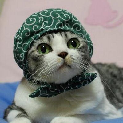 佳　泥棒猫 maxresdefault.jpg