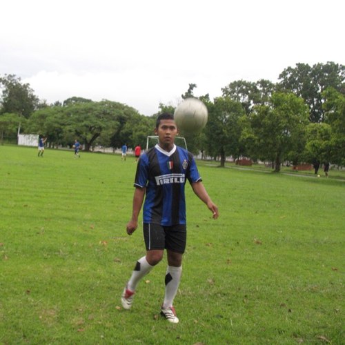 Interisti
